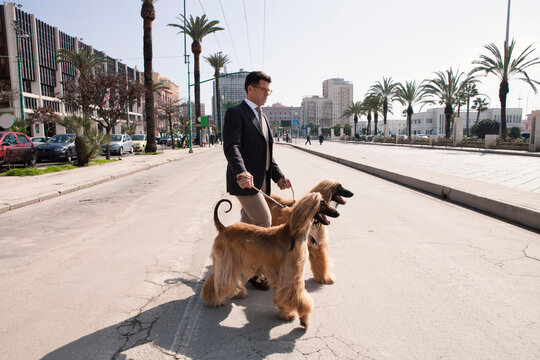 Portrait of a man walking a couple of Afghan dogs