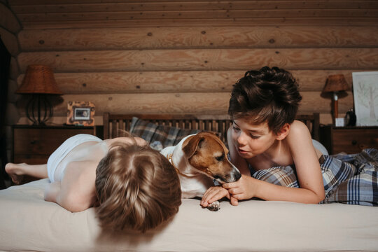 Two ittle boy and their dog on the bed.
