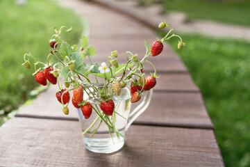 Strawberry twigs with berries in a cup.