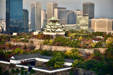 Fototapeta premium 日本の大阪城の紅葉