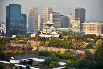 Fototapeta premium 日本の大阪城の紅葉