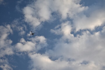 空を飛ぶ飛行機と雲