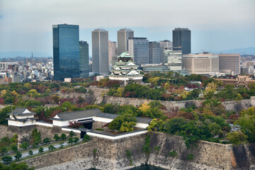 日本の大阪城の紅葉