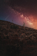 Saguaro At night with Milky Way in Scottsdale Arizona