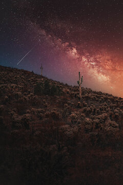 Saguaro At Night With Milky Way In Scottsdale Arizona