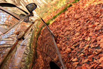 秋のブナ林　紅葉　リアゲートを開けた車　イメージ