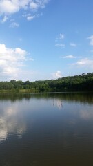 Obraz premium River