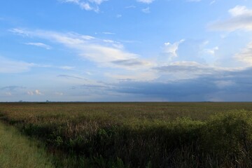 Obraz premium clouds over the field
