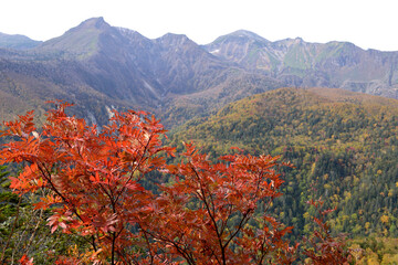 パノラマ台から見た大雪山の紅葉（北海道・層雲峡）
