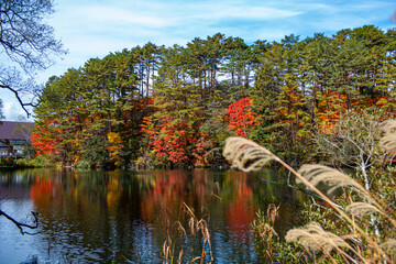 秋の裏磐梯の五色沼