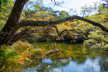 秋の裏磐梯の五色沼