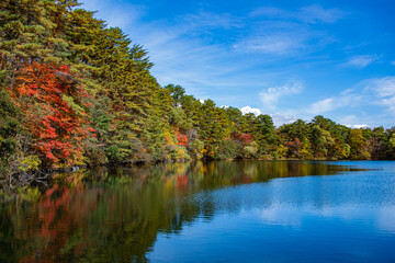 秋の裏磐梯の五色沼