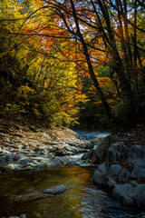 秋の裏磐梯の五色沼