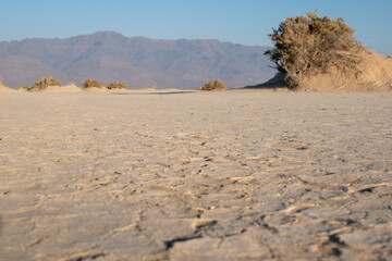 Fototapeta na wymiar Cracked dry lake bed with view of Steens Mountains at Alvord Desert, Southeastern Oregon.