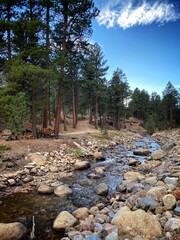 I Will Follow You Anywhere