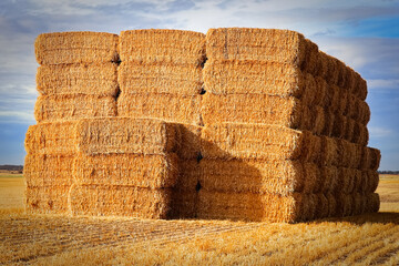 Side view of straw hay bales in a farmers field