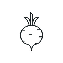 radish turnip icon vector illustration