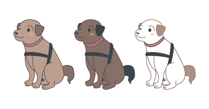 聴導犬 Images Browse 162 Stock Photos Vectors And Video Adobe Stock