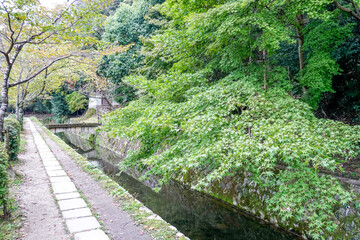 京都　哲学の道
