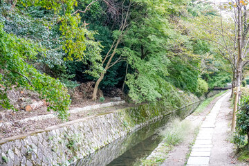 京都　哲学の道