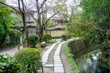 京都　哲学の道