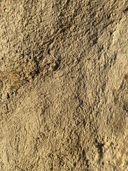 Ground