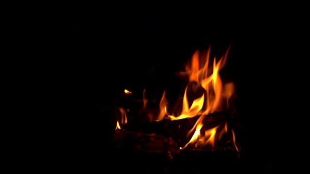 Flames Dance upon Log Sparking Regularly