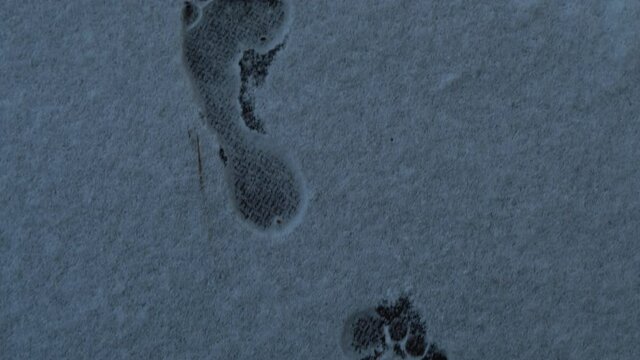 Trail of Bare Human Footprints in Shallow Snow