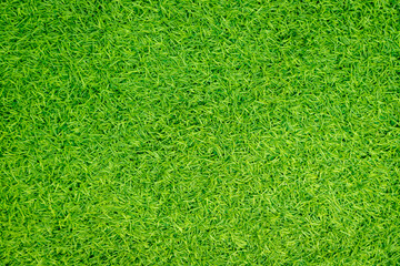 Green artificial grass natural