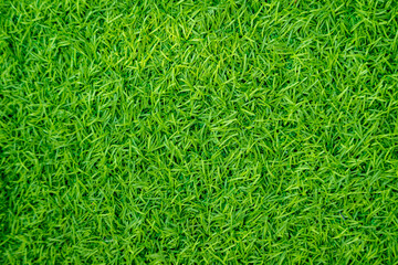 Green artificial grass natural use for background