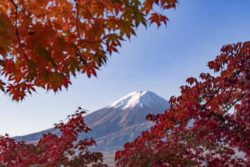 紅葉の美しい秋の富士山