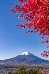 紅葉の美しい秋の富士山