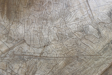 Aged cracked concrete stone plaster wall background and texture style