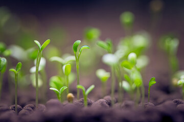 Seedlings of water plants