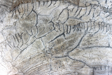 Aged cracked concrete stone plaster wall background and texture style