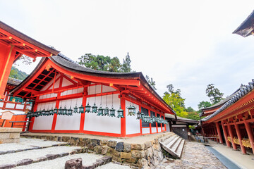 Naklejka premium 春日大社 奈良公園 奈良県奈良市 Kasuga-taisya Nara-ken Nara city