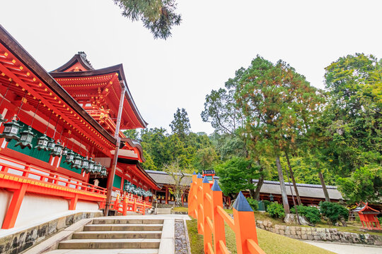 春日大社 Photos Royalty Free Images Graphics Vectors Videos Adobe Stock 春日大社 Photos Royalty Free Images Graphics Vectors Videos Adobe Stock