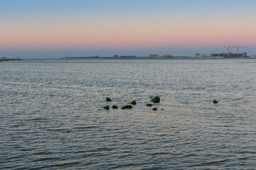 Seascape of  the dawn in the Corniche Park in the city of Dammam, Saudi Arabia