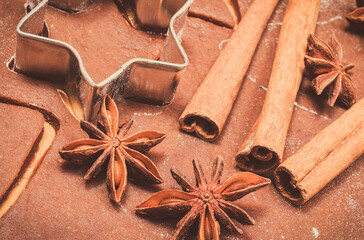 Cookie cutters and spices on dough for gingerbread or other festive cookies. Christmas time
