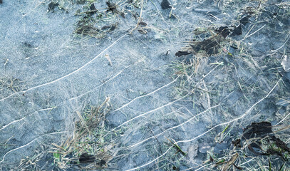 Thin ice surface covering coastal green grass, close-up