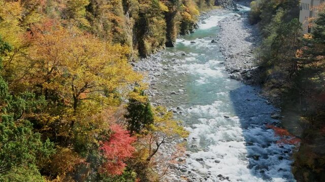 黒部峡谷黒部川と黄葉の岸壁