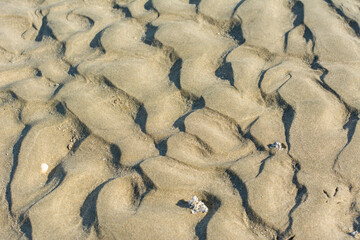Pattern of small dunes at the beach after tide ebbing in corniche park, Dammam, Saudi Arabia