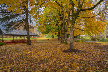 Public park in a stormy weather Oregon state.