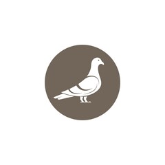 pigeon icon vector illustration design template