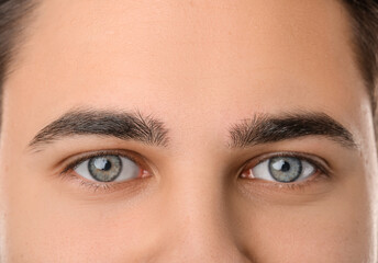 Handsome young man with corrected shape of eyebrows, closeup