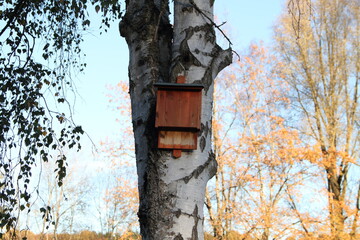 a bat nest box on the tree