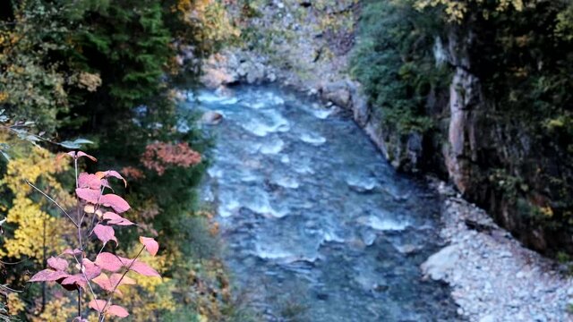 秋の紅葉する黒部川支流の祖母谷川