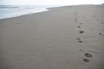 Fototapeta na wymiar 海、砂浜、波打ち際のあしあと