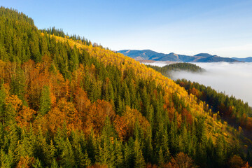 Colorful autumn morning in the Carpathian mountains. Sokilsky ridge, Ukraine, Europe..