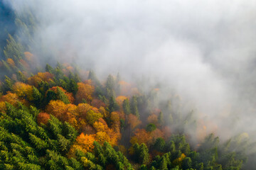 Colorful autumn morning in the Carpathian mountains. Sokilsky ridge, Ukraine, Europe..